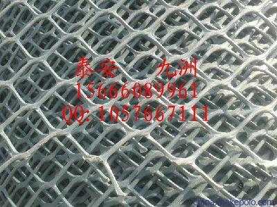 溫州高強度土工網與泰安九洲土工格室 規格齊全，應用廣泛