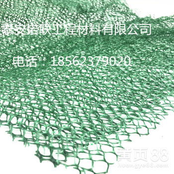 批發(fā)熱賣三維土工網(wǎng)墊 護(hù)坡固土與生態(tài)綠化的優(yōu)選方案
